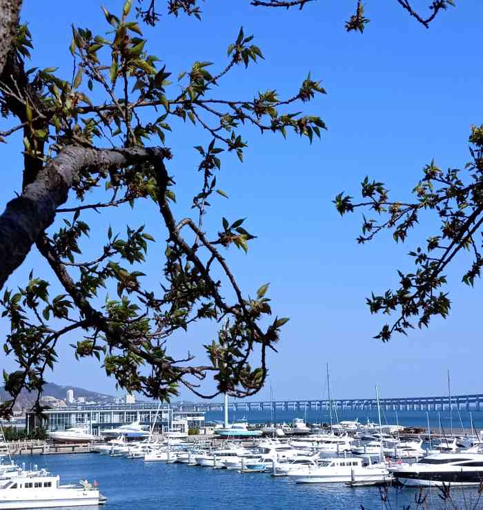 星海游艇码头-"[愉快]十一放假都是参加婚礼或者家人聚餐.