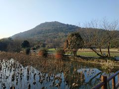 -八卦田遗址公园
