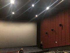 -深影国际影城(学院南路店CGS中国巨幕店)