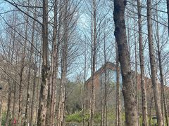 -杭州桐庐康莱德酒店西餐厅-舍