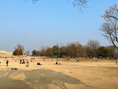 -盘龙城遗址博物院