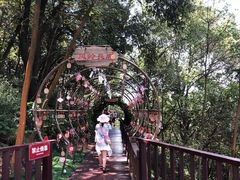 -石燕湖生态旅游景区