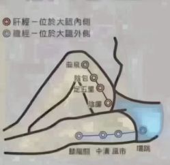 点击看大图 -香薇妮丝女子减肥院