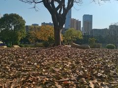 -光明港公园