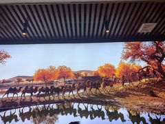 -新疆阿卜杜拉烧烤餐厅(四方坪店)