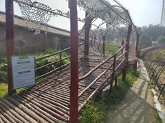 -呀路古热带植物园