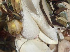 -菌之家·专业纯野生菌火锅·特色炒菌