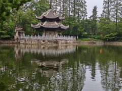 -习家池