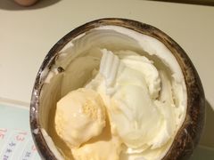 -志龙皇冠吃货椰子铺