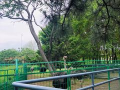 -长白岛森林公园