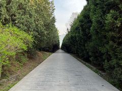 -秦始皇帝陵博物院-丽山园