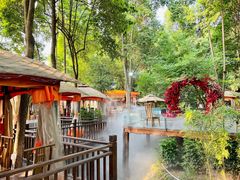 -二荆条·蜀鲜汇城市森林火锅