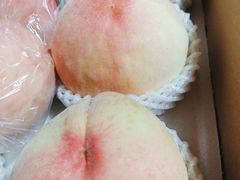 -南汇新场正宗水蜜桃采摘