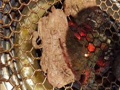 -老炉家木炭烤肉(长江国际店)