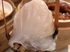-金鼎轩(方庄天坛店)