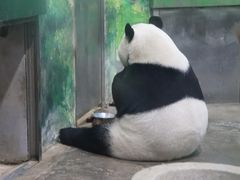 -柳州市动物园