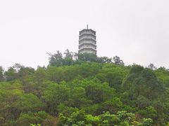 -深圳国际园林花卉博览园