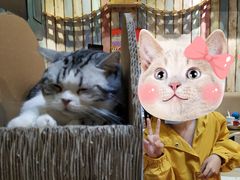 -小时光咖啡馆(开森度假森林店)