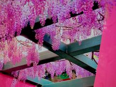 -北京市劳动人民文化宫(太庙)