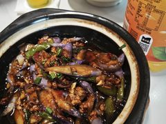 -全乐鱼馆·淳牌有机鱼直营店