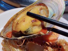 新西兰青口贝-七欣天香辣蟹火锅(常熟方塔街店)