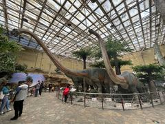 -国家自然博物馆