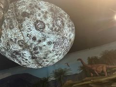 -辽宁古生物博物馆