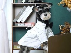 -超宠爱宠物摄影-Super pet