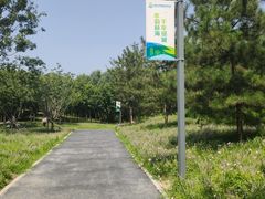 -东郊湿地公园