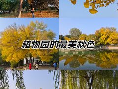-石家庄市植物园