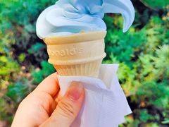 -麦当劳(军博店)