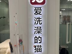 -爱洗澡的猫(望京店)