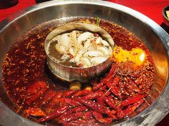 -谭鸭血老火锅(万象九宜城店)