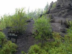 -峡谷浮石林景区