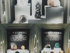 -重庆自然博物馆(新馆)