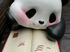 -轩客会(熊猫书店)