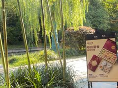 -COSTA COFFEE(西湖天地店)