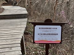 -白草畔自然风景区