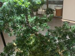 -通透堂中医·精准推拿(旗舰店)