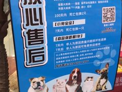 -龟与熊猫宠物公园(南坪店)