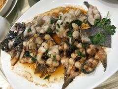 双味蒸钳鱼-白云宾馆·白云宴餐厅