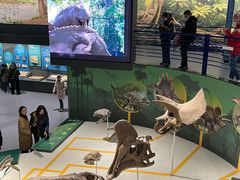 -国家自然博物馆