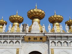 -上海东林寺(金山区)