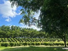 -露天矿生态公园