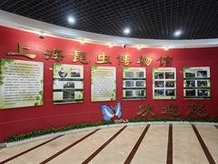 -上海昆虫博物馆