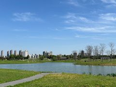 -洋湖国家湿地公园