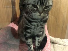 -藦茜花园宠物主题亲子互动体验馆(国顺东路店)