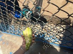 -森林公园(尖草坪区)