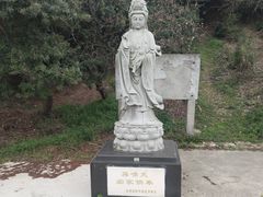 -海宁市观音寺