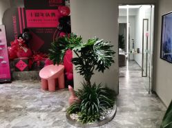 -时尚玩家发型设计